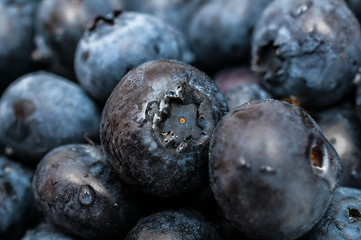 Blueberry with drops of water 