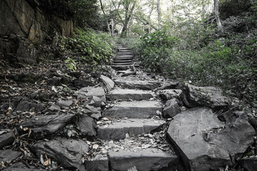 Large Stone Stairway In Great Smoky Mountains National Park