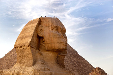 Fototapeta na wymiar Sphinx, Egypt