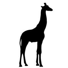 black silhouette of a giraffe. vector illustration