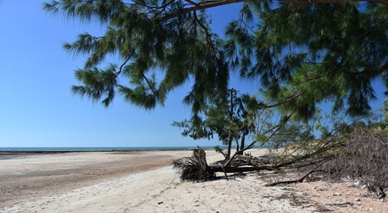 Lee Point beach at low tide. Lee Point in the  northern suburb of the city of Darwin, Northern...