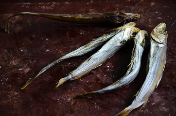  dried, salted fish potasu, on a black leash, which lies on a brown tray