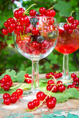 Fresh juicy berry red currant in a glass bowl in a garden on a table in the background of bushes with berries in a summer day with copy space