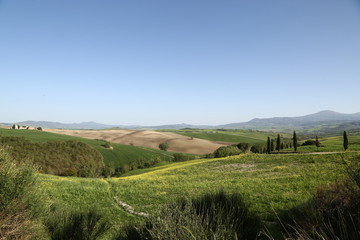 Val d'orcia