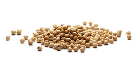 Organic raw soybean flakes, isolated on white background