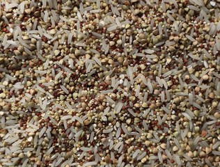 Quinoa, buckwheat, millet and rice; A cereal mix ready for a healthy cold or hot summer dish.