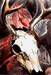 Watercolor illustration of the animal skull on the autumn leaves