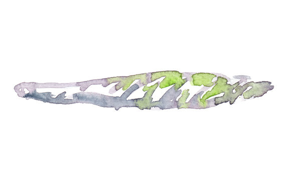 Rolled marijuana blunt cigarette painted in watercolor on clean white background