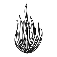 the fire burns monochrome. isolated