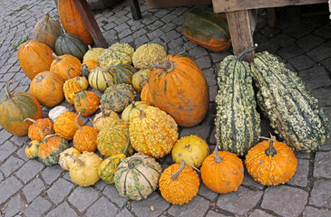 Colorful ornamental pumpkins, gourds and squashes in a box on an open market in the street. Variety...