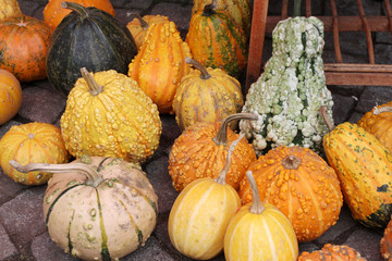 Colorful ornamental pumpkins, gourds and squashes in a box on an open market in the street. Variety...
