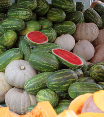 Pumpkins and watermelons on open market, pile of pumpkins and watermelons. Healthy food. Fresh organic watermelons and pumpkins. Colorful fruit background wallpaper. 