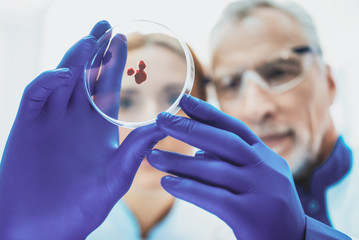 Blood sample. Serious researcher standing near his colleague while looking forward