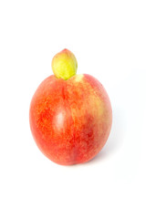 One vertical ugly peach