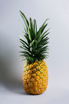Isolated pineapple studio shot