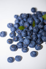 Freshly picked blueberries isolated on white background.