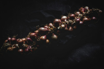 Bouquet of fresh red onions