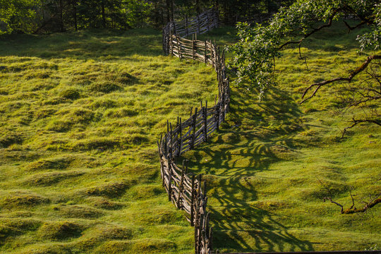 Beautiful grass landscape, Fance grass hills
