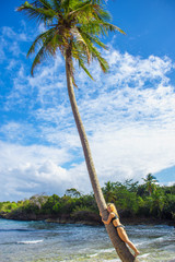 young girl hugging a palm tree
