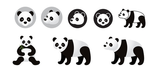 Obraz premium Panda Bear Vector Set, Front View, Side View, Silhouette