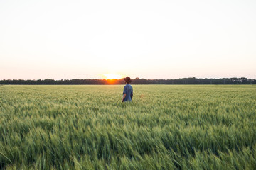 YOung male farmer stand alone in wheat field during sunset 