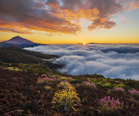 spectacular sunset above the clouds in the Teide volcano national park in Tenerife