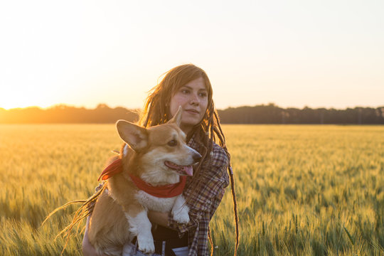 young happy woman with dreadlocks play with corgi dog in summer wheat fields 
