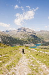 Fototapeta premium Silvaplana, Corvatsch, Wanderweg, Wanderer, Silvaplanersee, Bergsee, Julierpass, Piz Julier, Piz Albana, Alpen, Oberengadin, Graubünden, Sommer, Schweiz