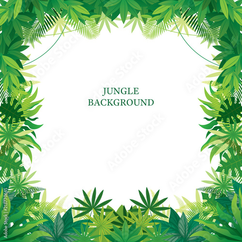 "Tropical Jungle Frame, Forrest, Rainforest, Plant and Nature " Stock ...