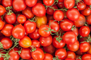 Fresh ripe tomatoes on the farm Turkish oriental market