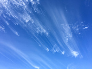 Fototapeta na wymiar Windswept clouds and blue sky background