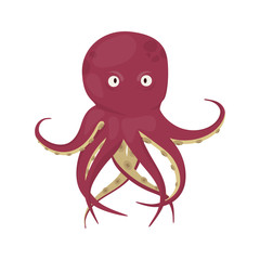 Octopus tentacles vector sea animal isolated on white background squid marine water seafood ocean fish vector illustration.