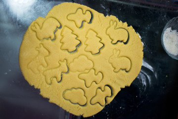 dough with squeezed animal figures for baking cookies