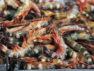 Closeup fish head in wet market, on top of cold ice to keep fresh
