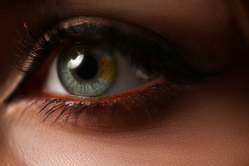 Naklejka premium Female left green blue coloured eye