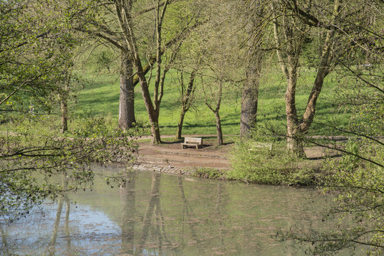 Steinbank am Teich unter B&auml;umen