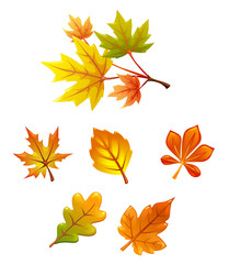 vector set of leaves. falling leaves. autumn, herbarium, yellow, maple leaf, oak leaf, branch.