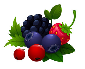 vector illustration of berries, forest. strawberry, forest strawberry, wild strawberry, blueberry, cranberry, leaves, BlackBerry, Rowan. food.