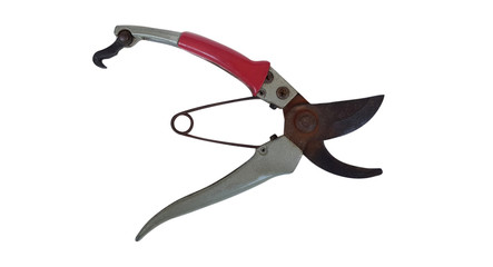 Old secateurs isolated on white background with clipping path