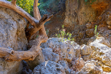 Wandern in Griechenland