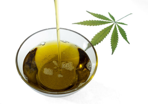 A stream of flowing hempseed oil in a round glass bowl and marijuana leaf. Isolated on white background.