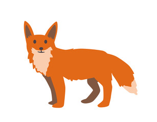 Cute red fox.Flat vector illustration. Isolated on white background
