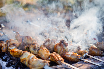 The process of cooking chicken barbecue. Picnic.