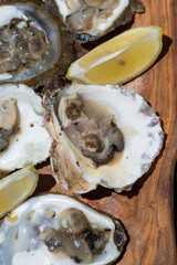 Oysters with lemon on wooden plate.