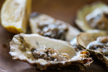 Oysters with lemon on wooden plate.