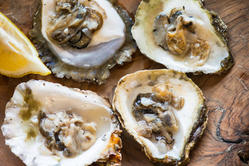 Oysters with lemon on wooden plate.