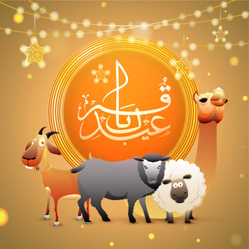 Arabic Islamic calligraphy EId Al Adha text with blurred lighting effect and sheep on glowing yellow background decorated with hanging ornamental stars for festival celebration concept.