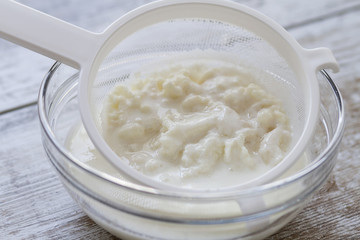 A kefir fungus jar
