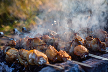 Obraz na płótnie Canvas The process of cooking chicken barbecue. Picnic.