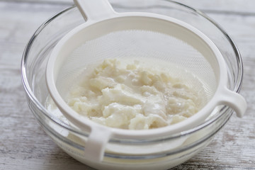A kefir fungus jar